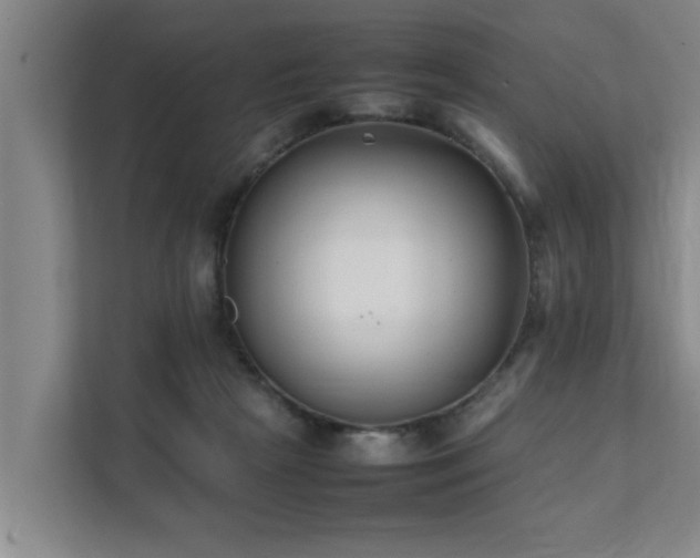 X0000112070265200908041240