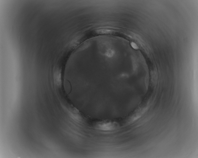 X0000112070267200908041240