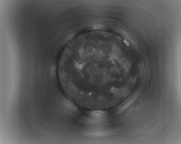 X0000112070269200908041240