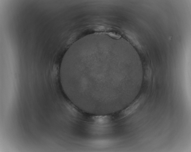 X0000112070273200908041240