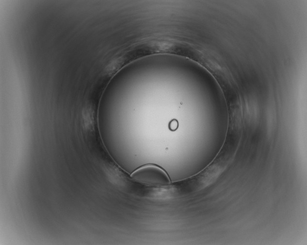 X0000112070274200908041240