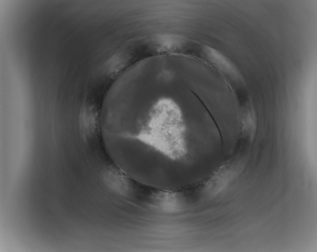 X0000112070276200908041240