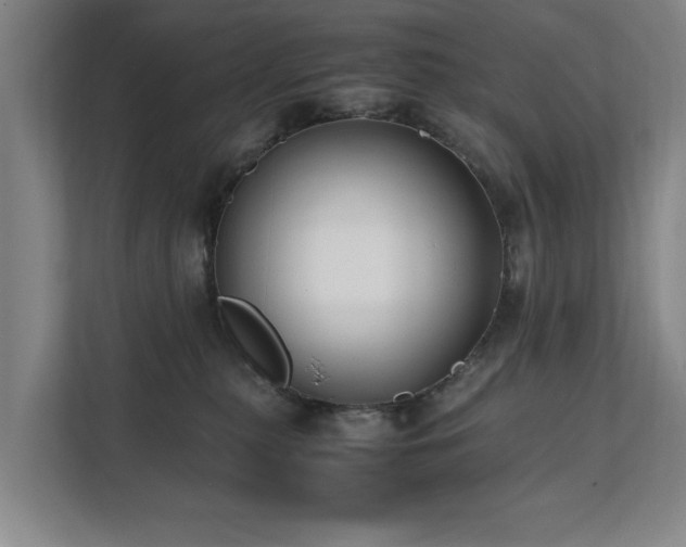 X0000112070279200908041240