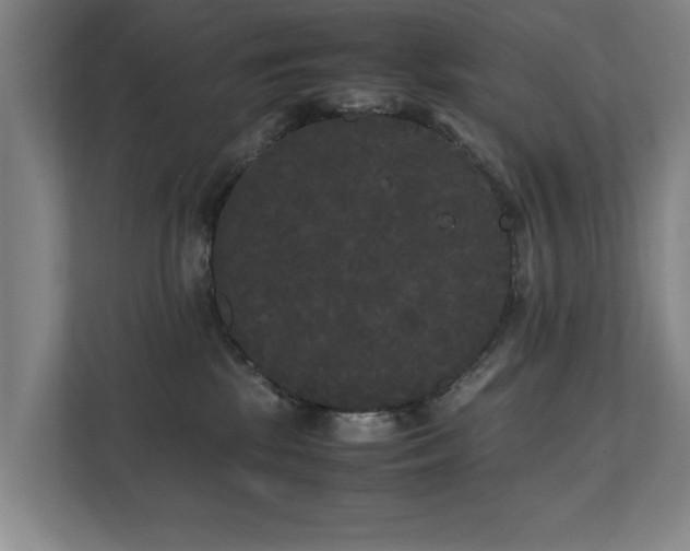 X0000112070281200908041240