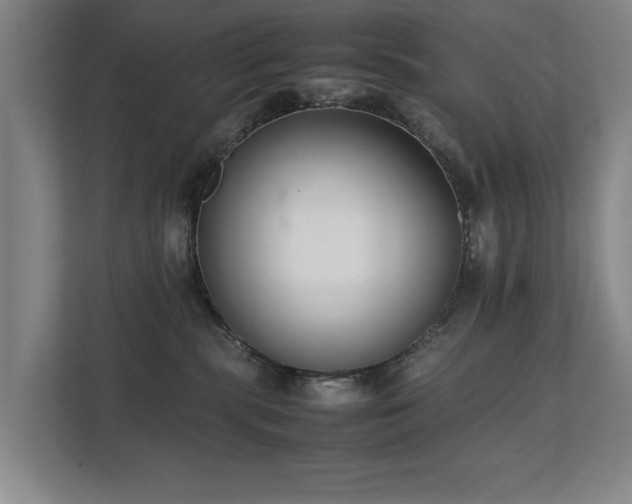 X0000112070283200908041240