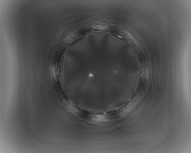 X0000112070285200908041240