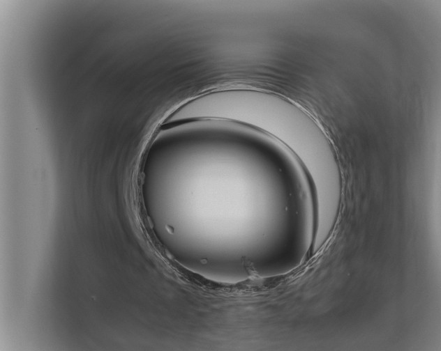 X0000112070289200908041239