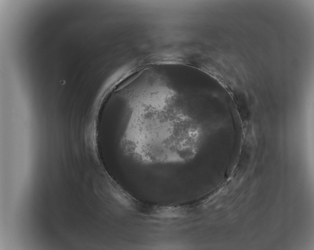 X0000112070293200908041239