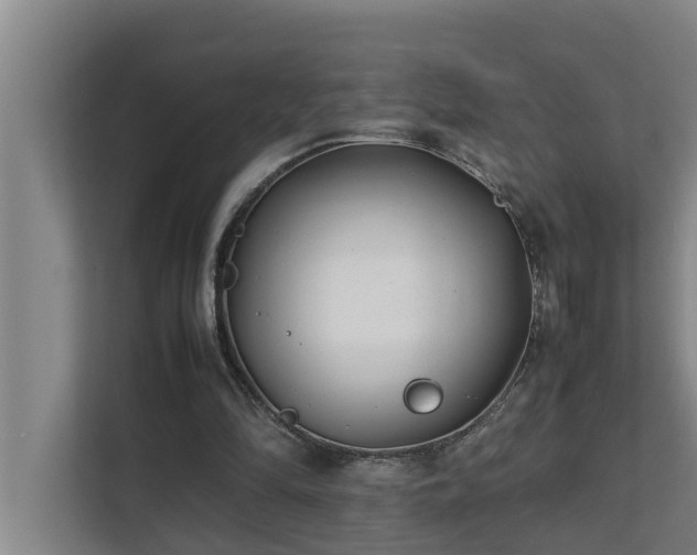 X0000112070294200908041239