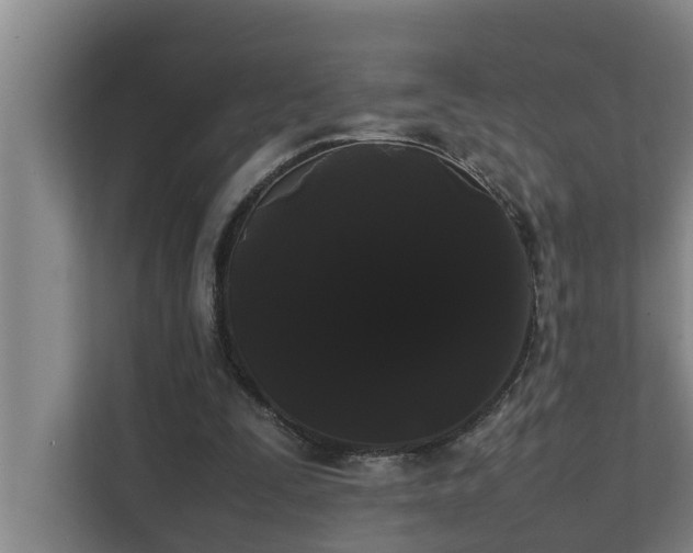 X0000112070295200908041239