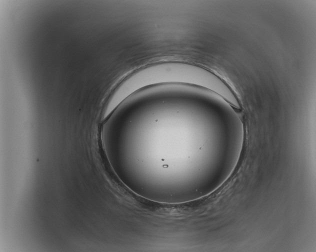 X0000112070297200908041239