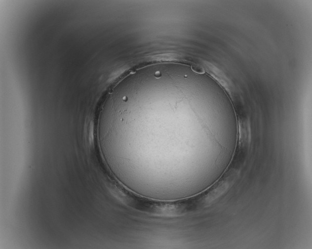 X0000112070301200908041239