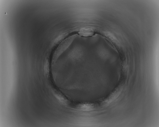 X0000112070303200908041239