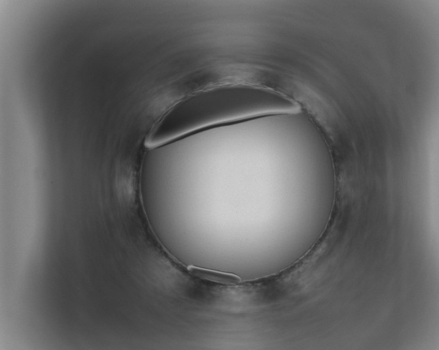 X0000112070305200908041239