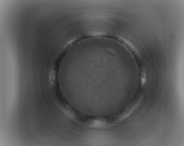 X0000112070308200908041239