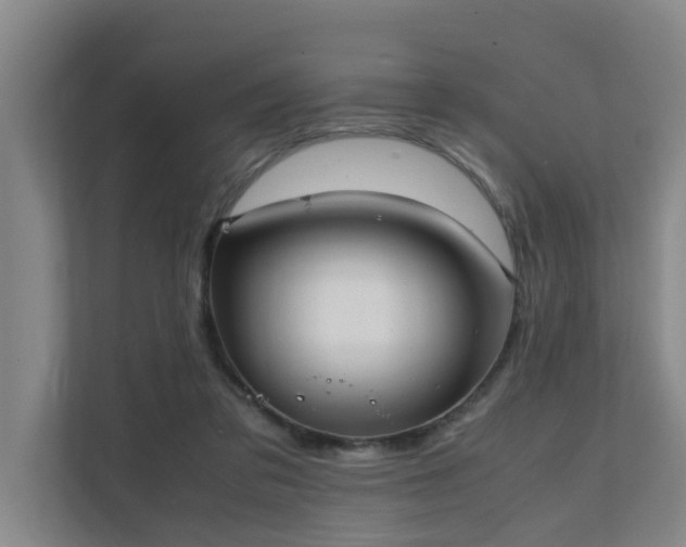 X0000112070309200908041239