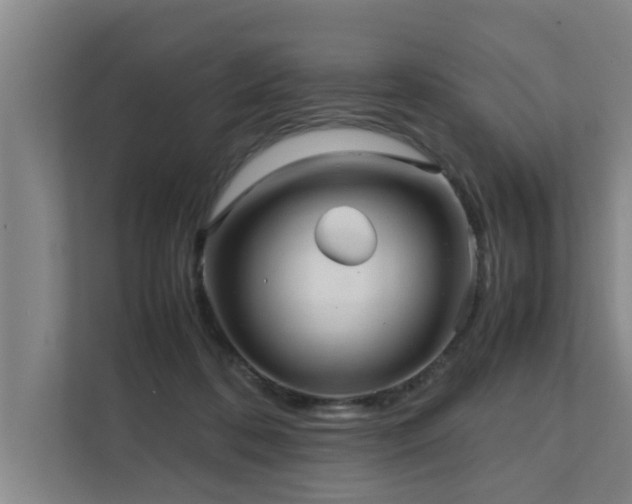 X0000112070316200908041239