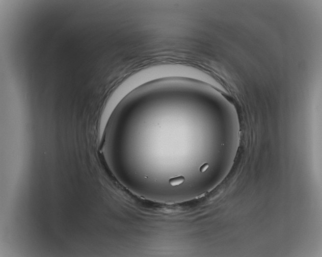 X0000112070317200908041239