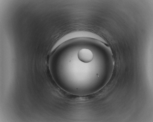 X0000112070320200908041239