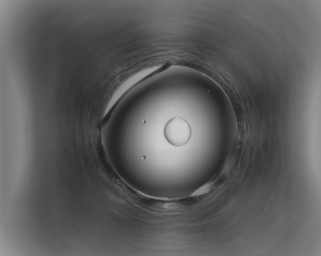 X0000112070324200908041239