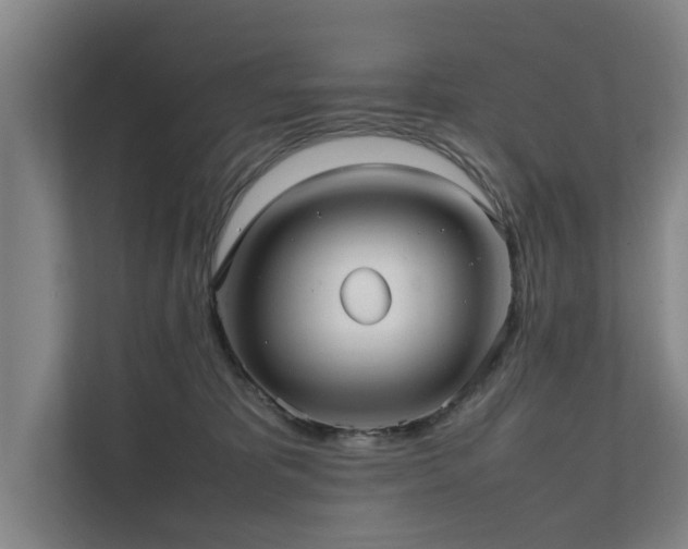 X0000112070325200908041239