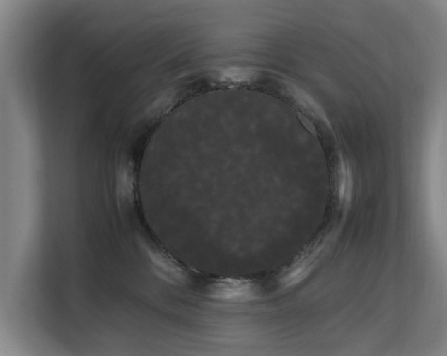 X0000112070328200908041239