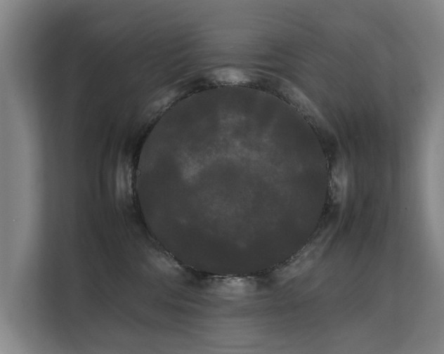 X0000112070330200908041239