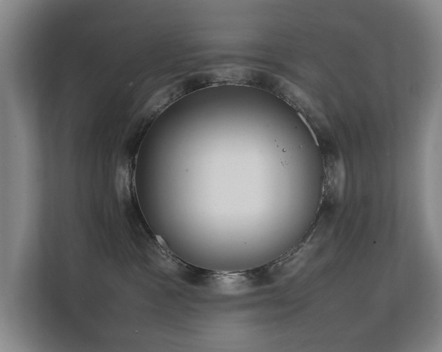 X0000112070333200908041239