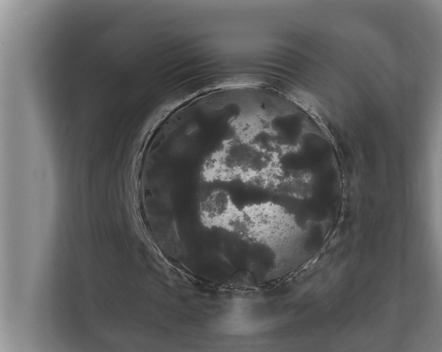 X0000112070337200908041238