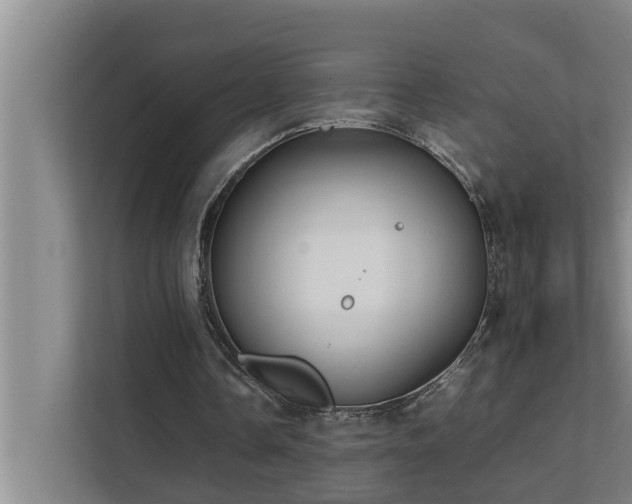 X0000112070338200908041238