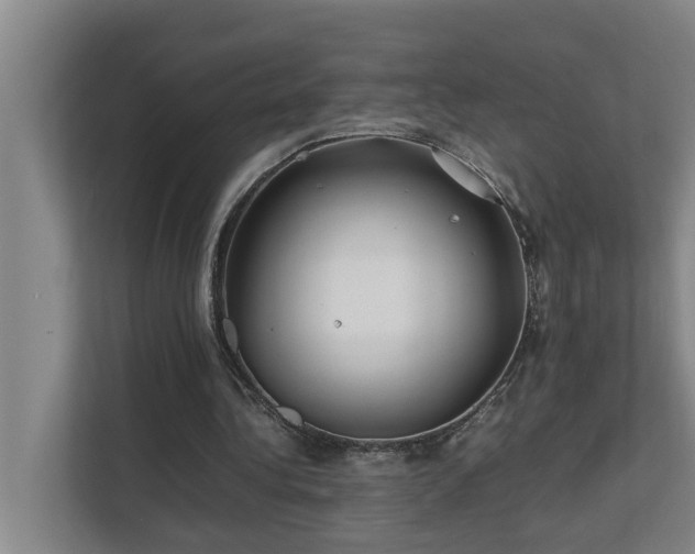 X0000112070340200908041238