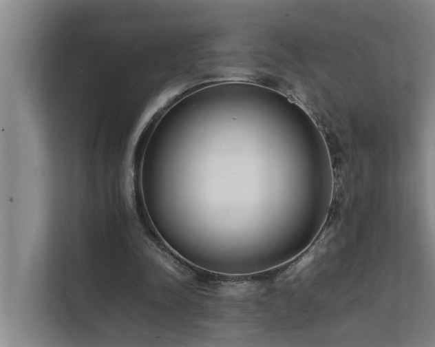 X0000112070342200908041238