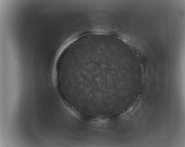 X0000112070343200908041238