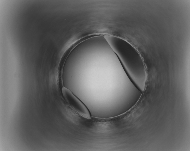 X0000112070344200908041238