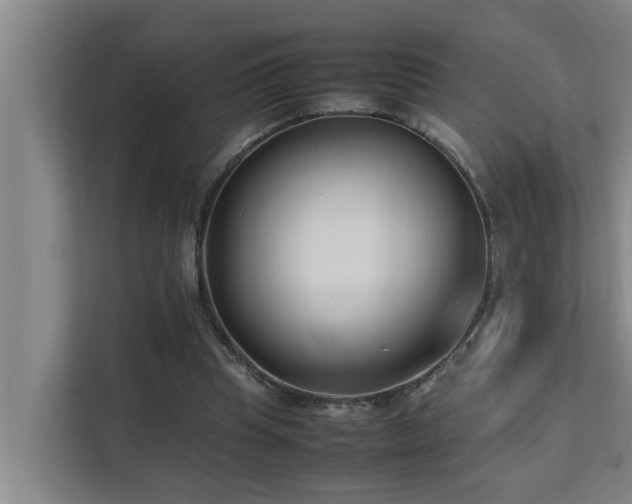 X0000112070345200908041238