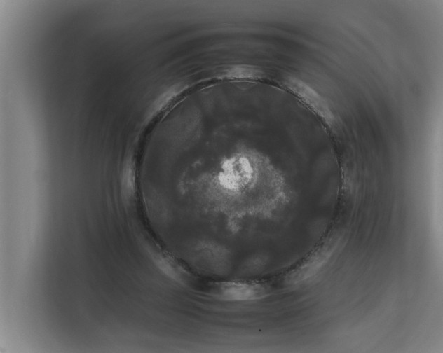 X0000112070347200908041238