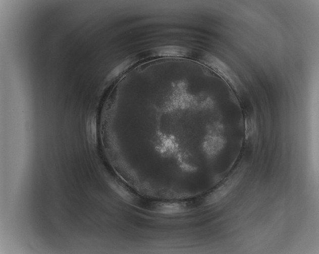 X0000112070349200908041238