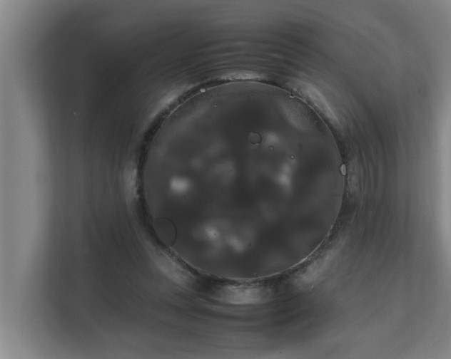 X0000112070351200908041238