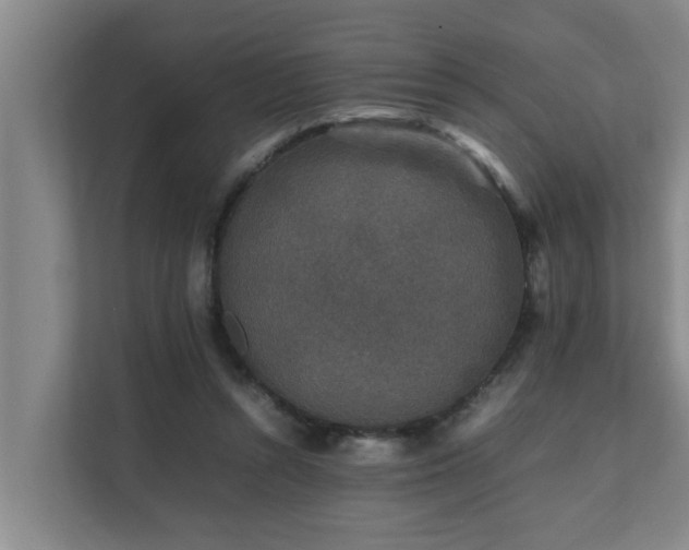 X0000112070352200908041238