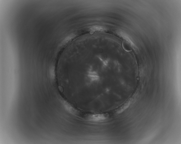 X0000112070353200908041238