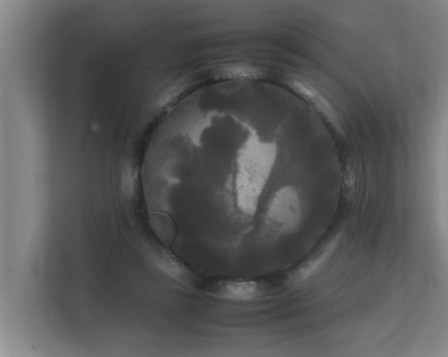 X0000112070355200908041238