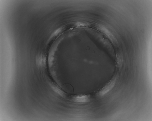 X0000112070357200908041238