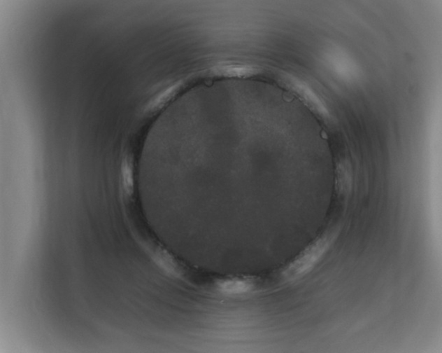 X0000112070358200908041238