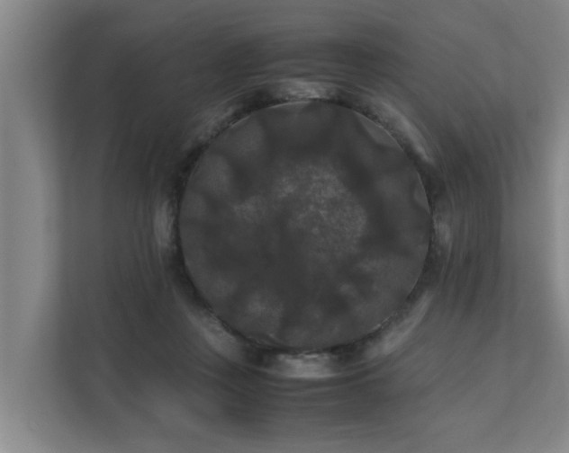 X0000112070359200908041238