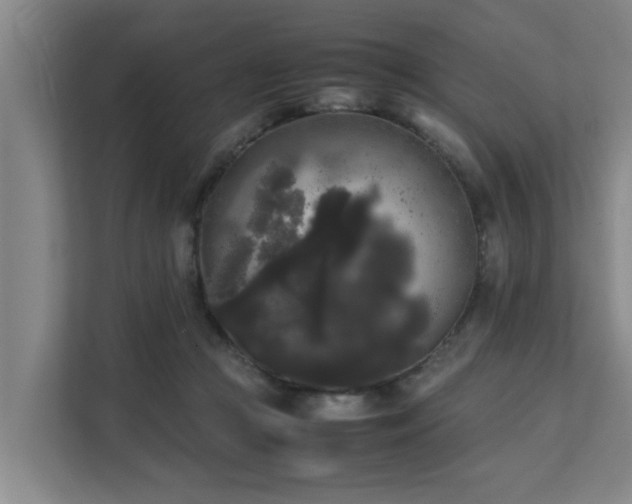 X0000112070361200908041238