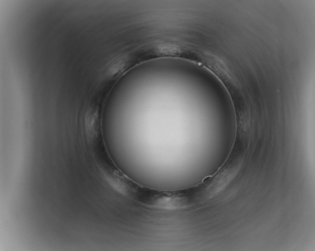 X0000112070364200908041238