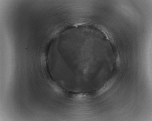 X0000112070366200908041238