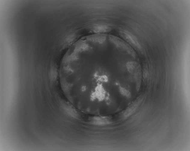 X0000112070367200908041239