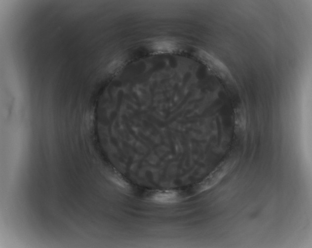 X0000112070369200908041239