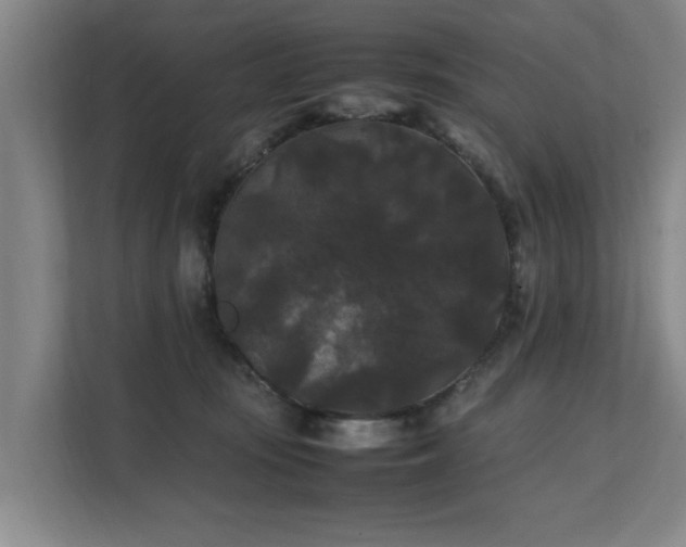 X0000112070371200908041239